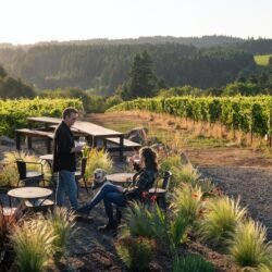 Wineries from Oregon